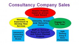 Consultancy